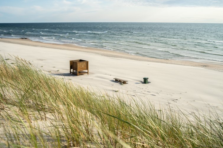 Peace Instead of Windbreaks: 5 Baltic Beaches Where You Can Truly Unwind